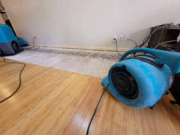 Professional Water Damage Repair technician working in Puyallup, WA